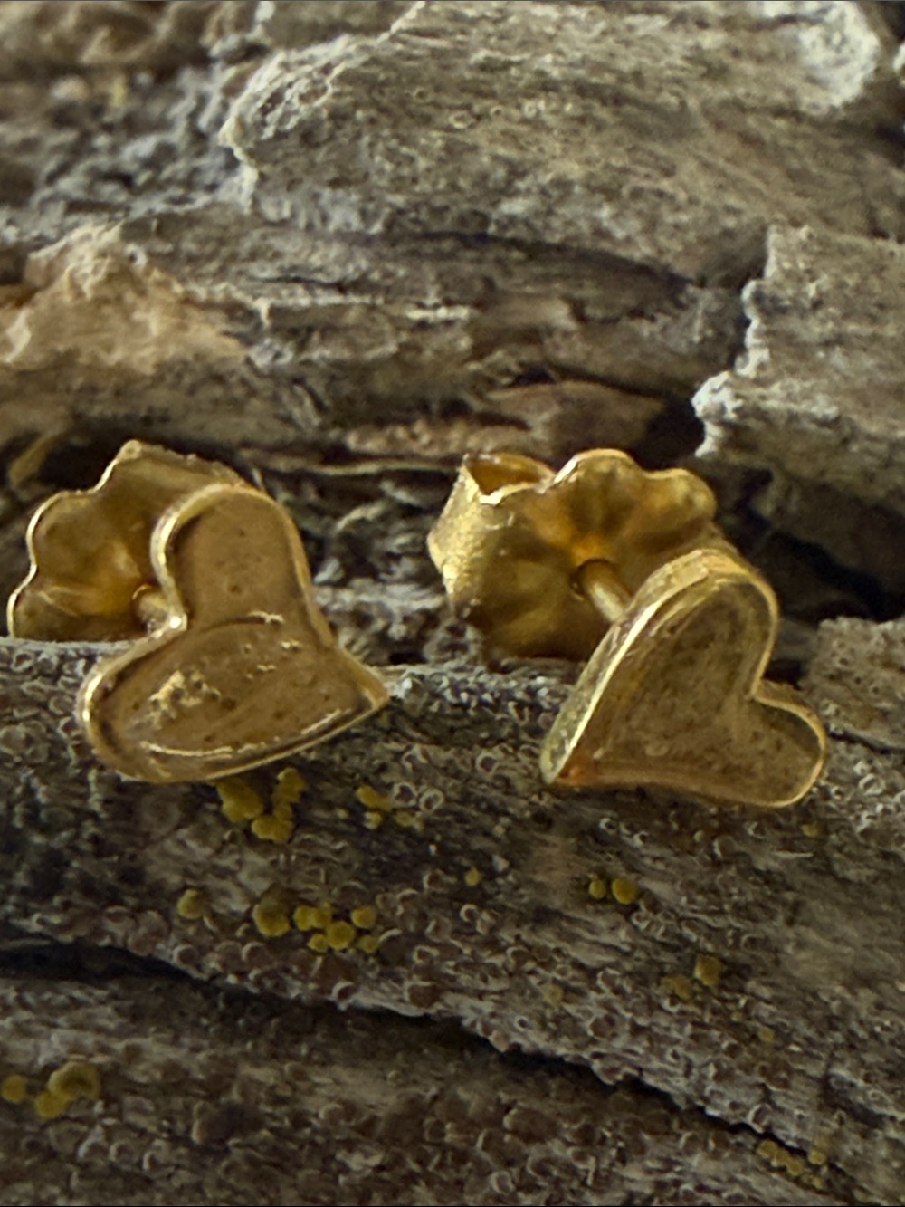 Jes MaHarry yellow gold stud earrings. New in box.